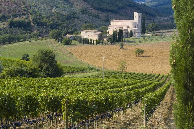 Chianti VINARIUM Tour From Rome - Worth The Stay