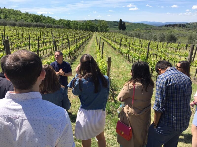 Chianti: Vineyard to Bottle Winery Visit With Tastings - Scenic Views and Ancient Cellar Access