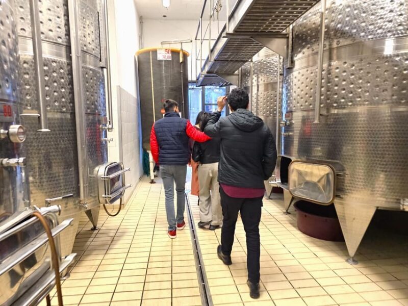 Chianti: Vineyard to Bottle Winery Visit With Tastings - Transportation Recommendations