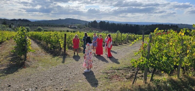 Chianti: Vineyard to Bottle Winery Visit With Tastings - Tips for a Enjoyable Visit