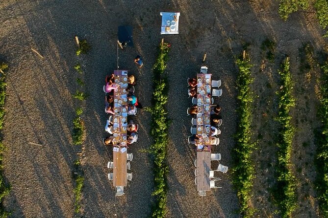 Chianti Vineyards: Small-Group Tour With Wine Tasting & Dinner - Transportation and Accessibility