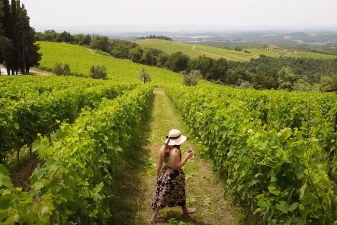 Chianti Vineyards: Small-Group Tour With Wine Tasting & Dinner - Customer Experiences