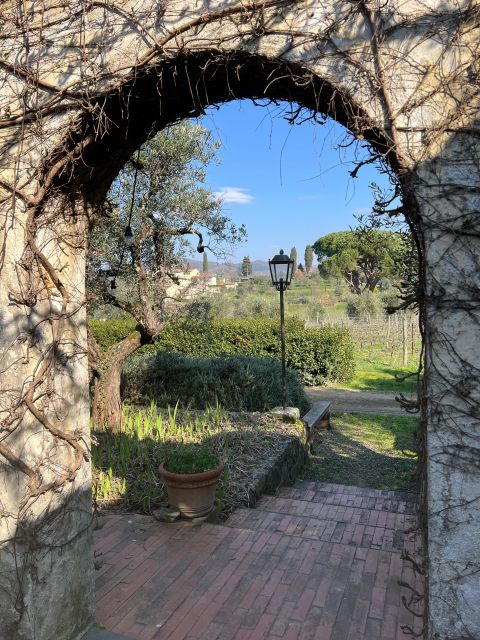 Chianti: Wine and Honey Tasting Half-Day Experience - Indulge in Honey Tasting and Farm Tour