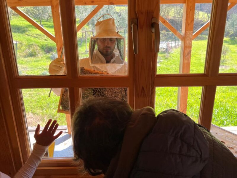 Chianti: Wine and Honey Tasting Half-Day Experience - Transportation and Itinerary Details