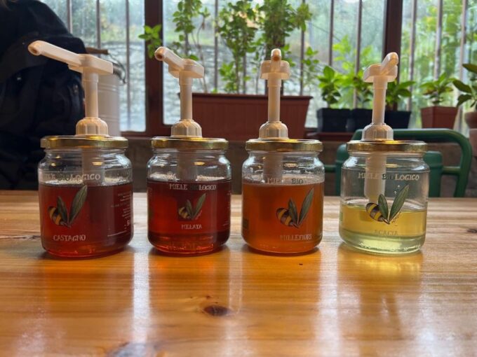 Chianti: Wine and Honey Tasting Half-Day Experience - Tasting Experience Highlights
