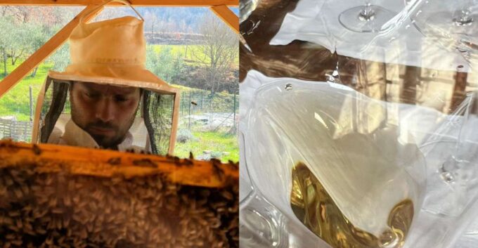Chianti: Wine and Honey Tasting Half-Day Experience - Suitability and Additional Information