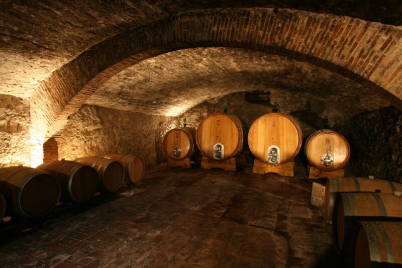 Chianti: Wine and Olive Oil Tasting With Cellar Tour - Overview of the Chianti Experience