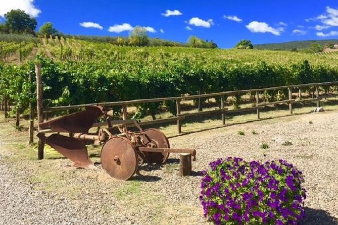 Chianti Wine and Vinci Half Day Small Group Tour From Lucca - Itinerary Highlights