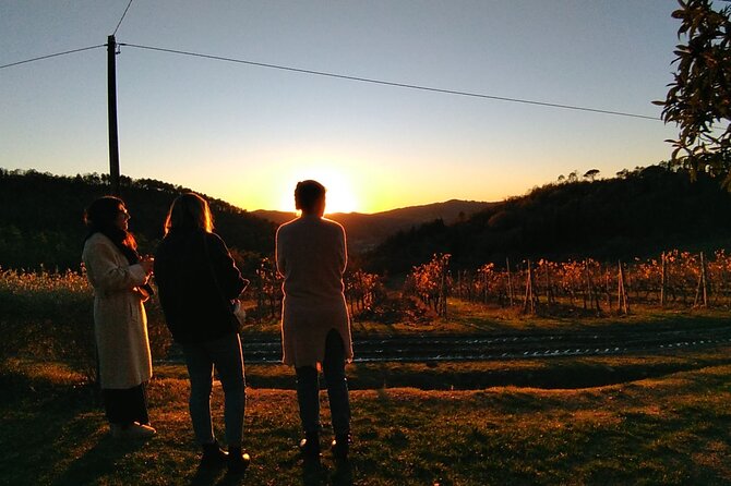 Chianti Wine Tastings at Sunset Day Trip From Florence - Wine Tasting Experiences