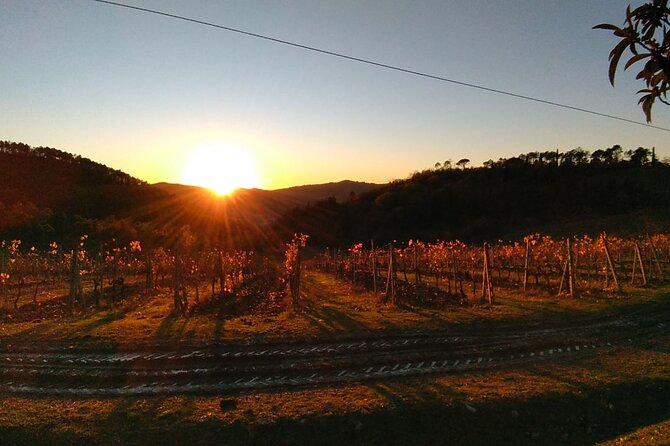 Chianti Wine Tastings at Sunset Day Trip From Florence - Traditional Tuscan Appetizer