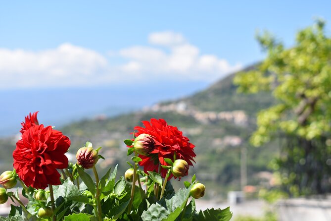 Chianti Wine Tour From Florence  - Calabria - Additional Tour Considerations
