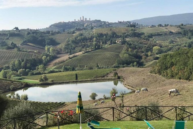 Chianti Wineries Tour With Tuscan Lunch and San Gimignano - Indulge in Authentic Tuscan Lunch
