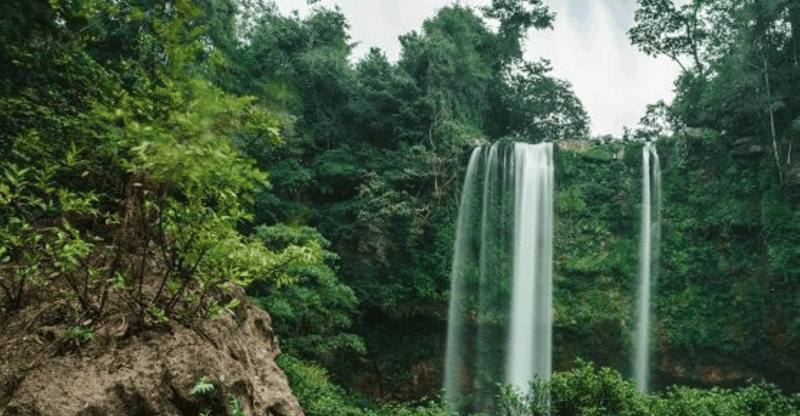 Chiapas: Blue Water - Misol-Ha Palenque Adventure - Itinerary Highlights