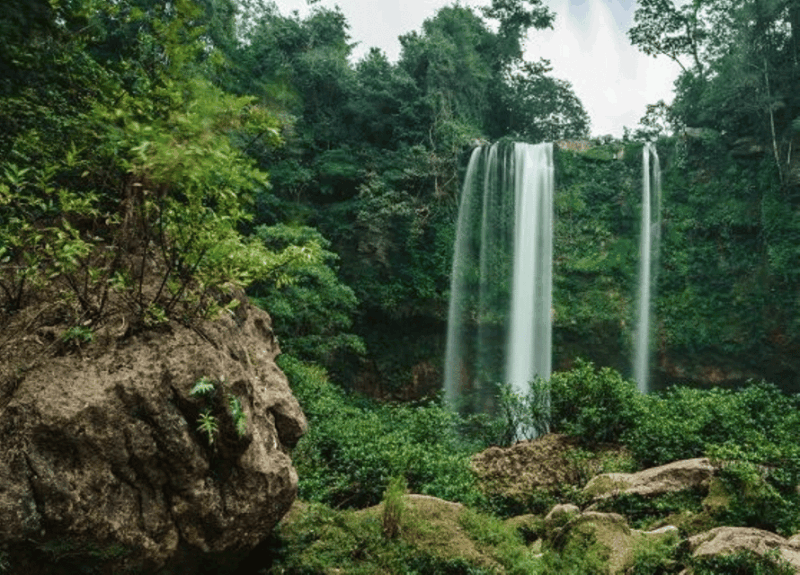 Chiapas: Blue Water - Misol-Ha Palenque Adventure - Local Cultural Experience