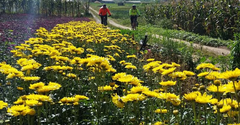Chiapas: Discover the Magic on Bike Tour - Key Points