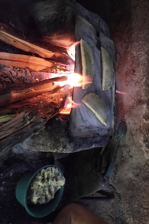 Chiapas Highlands: Ancient Rituals and Traditions Tour - Key Points
