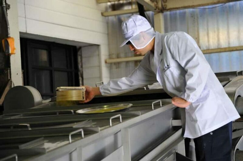 Chiba: Nabedana Sake Brewery Tour with Tasting - Sake Tasting and Food Pairing Suggestions