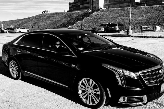 Chicago 6-Hour City Tour by Sedan - Excellent Service Provided