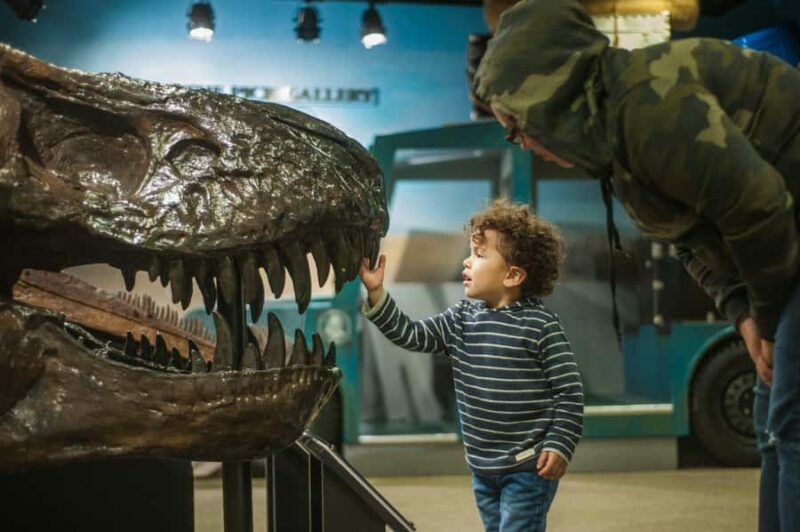 Chicago: Chicago Children's Museum Entry Ticket - Key Points