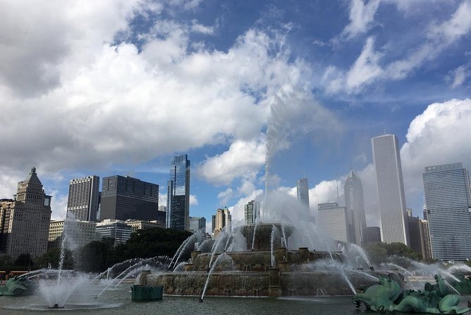 Chicago City Minibus Tour - Transport and Photo Stops