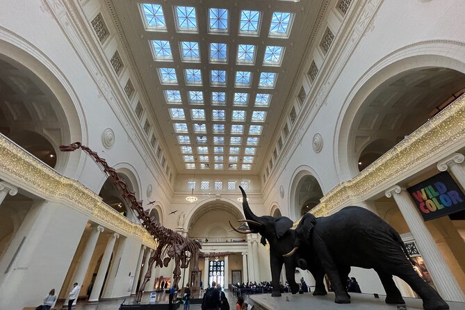 Chicago Field Museum of Natural History Semi-Private Guided Tour - Meeting and End Points