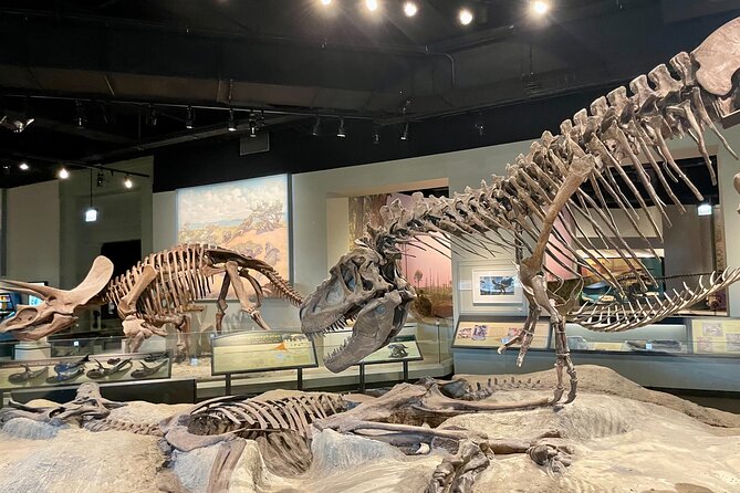 Chicago Field Museum of Natural History Semi-Private Guided Tour - Accessibility and Requirements