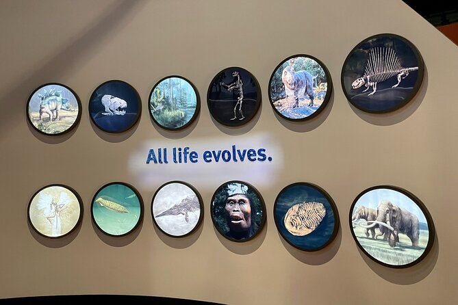 Chicago Field Museum of Natural History Semi-Private Guided Tour - Additional Tour Information