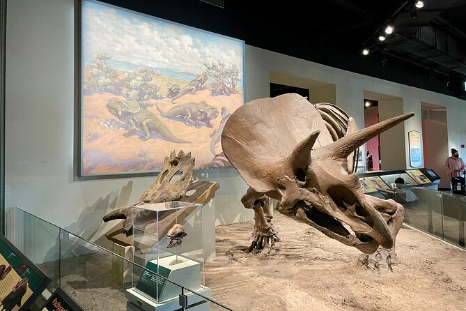 Chicago Field Museum of Natural History Semi-Private Guided Tour - Frequently Asked Questions
