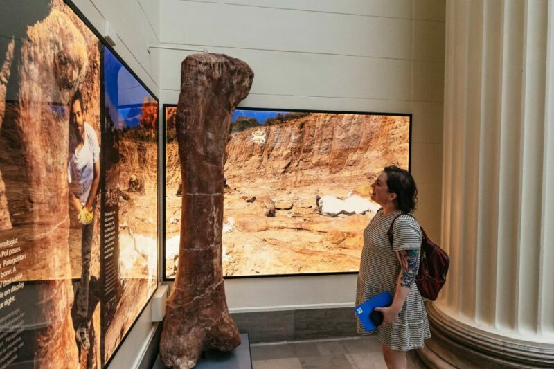 Chicago: Field Museum of Natural History Ticket or VIP Tour - The Sum Up