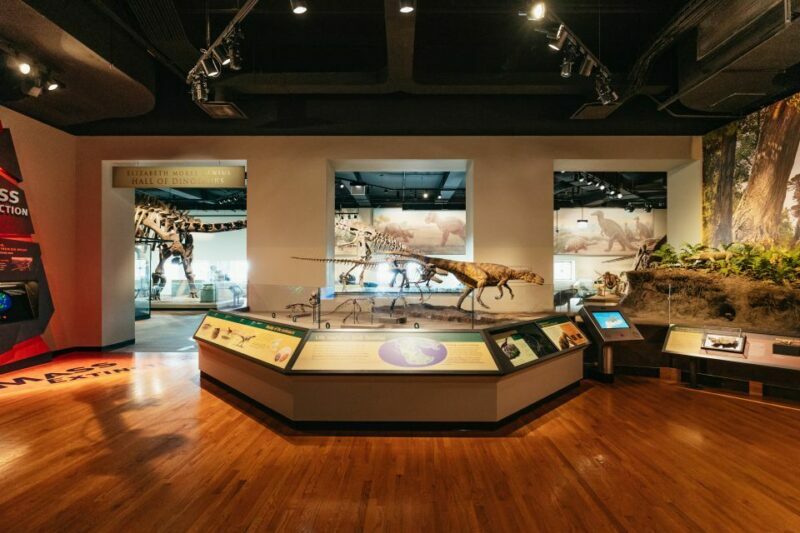 Chicago: Field Museum of Natural History Ticket or VIP Tour - FAQ