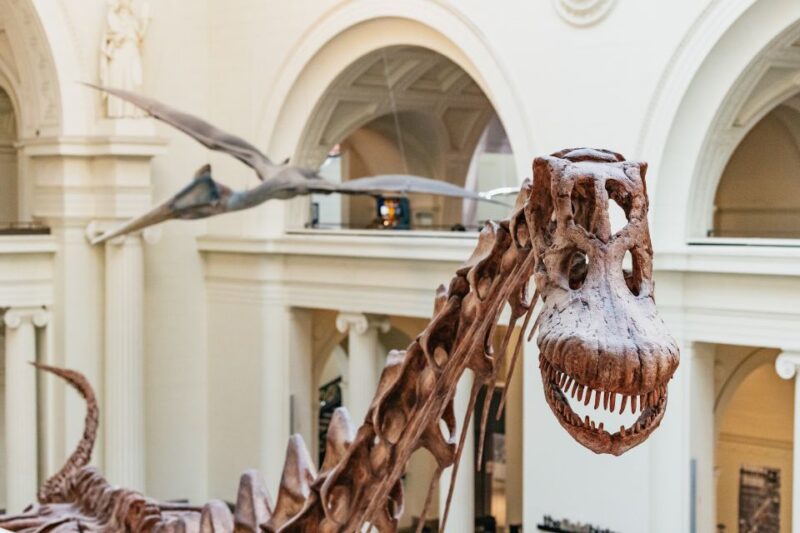 Chicago: Field Museum of Natural History Ticket or VIP Tour - Highlights of the Museum