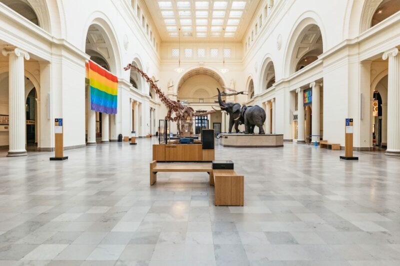 Chicago: Field Museum of Natural History Ticket or VIP Tour - Sue, the Largest T. Rex