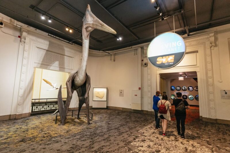 Chicago: Field Museum of Natural History Ticket or VIP Tour - Maximo, the Titanosaur