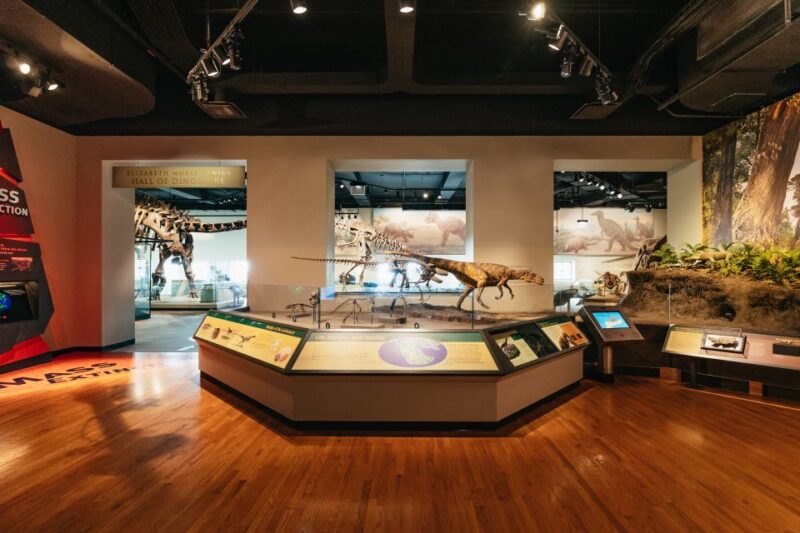 Chicago: Field Museum of Natural History Ticket or VIP Tour - VIP Tour Experience