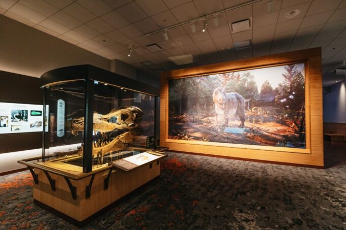 Chicago: Field Museum of Natural History Ticket or VIP Tour - Museum Accessibility