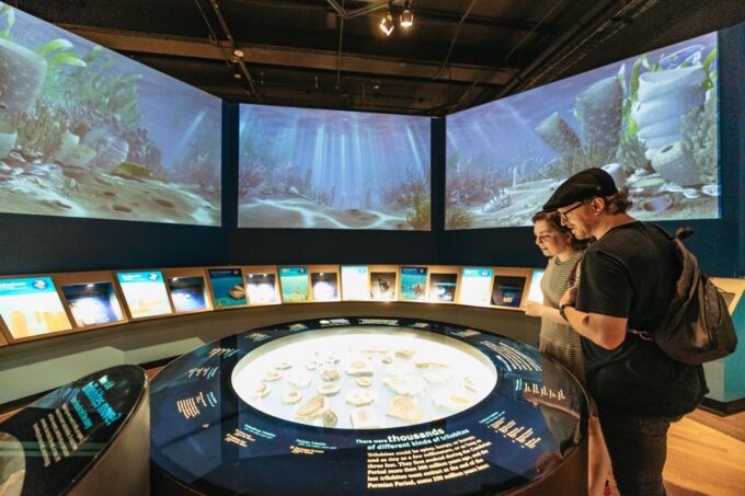 Chicago: Field Museum of Natural History Ticket or VIP Tour - Visitor Information