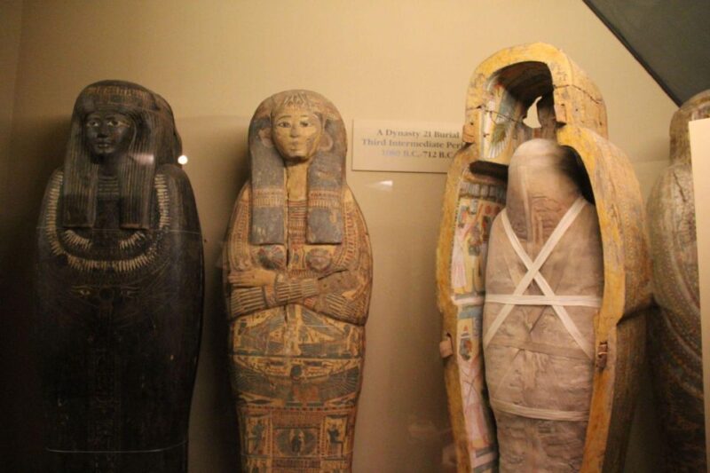 Chicago: Field Museum Ticket & In-App Audio Tour (ENG) - Downloading and Navigation