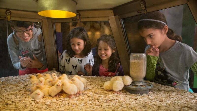 Chicago: Griffin Museum of Science and Industry Ticket - Final Thoughts: Is It Worth Your Visit?