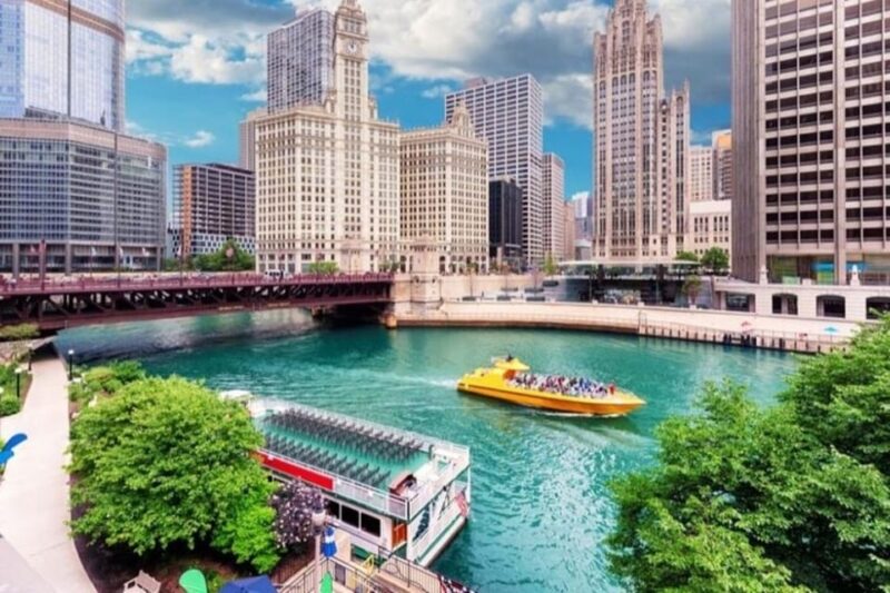 Chicago Highlights Private Walking Tour With A Guide - Key Points