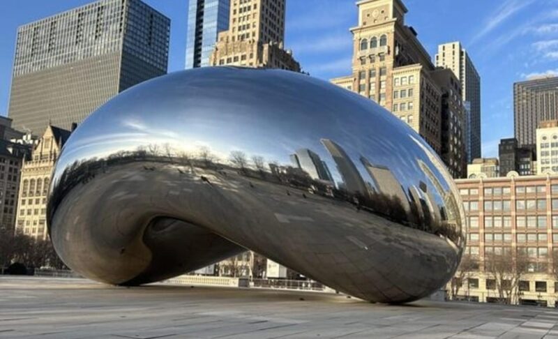 Chicago Highlights Private Walking Tour With A Guide - Tour Inclusions