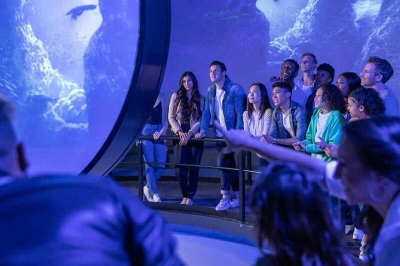 Chicago: Immersive Flyover Journey Ticket - The Value for Money