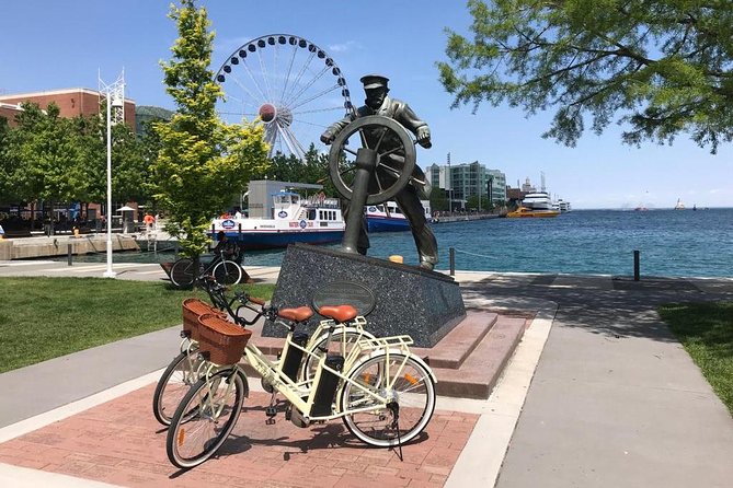 Chicago Lakefront Electric Bike Tour - Meeting and Logistics