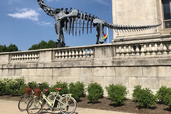 Chicago Lakefront Electric Bike Tour - Scenic Views of Lake Michigan
