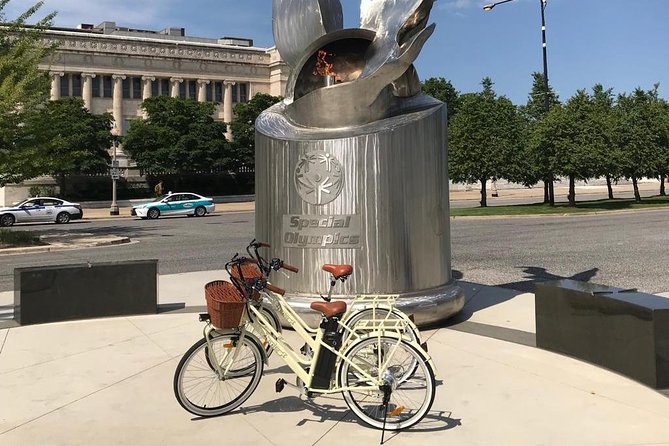 Chicago Lakefront Electric Bike Tour - Dedicated and Knowledgeable Guides
