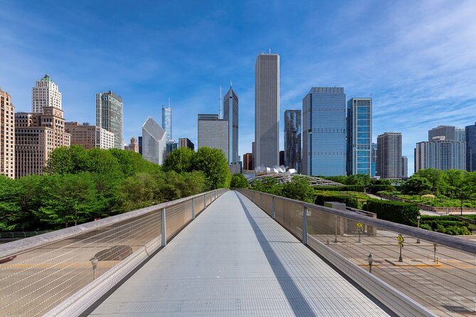 Chicago Millennium Park Self-Guided Walking Tour - Flexibility and Personalization