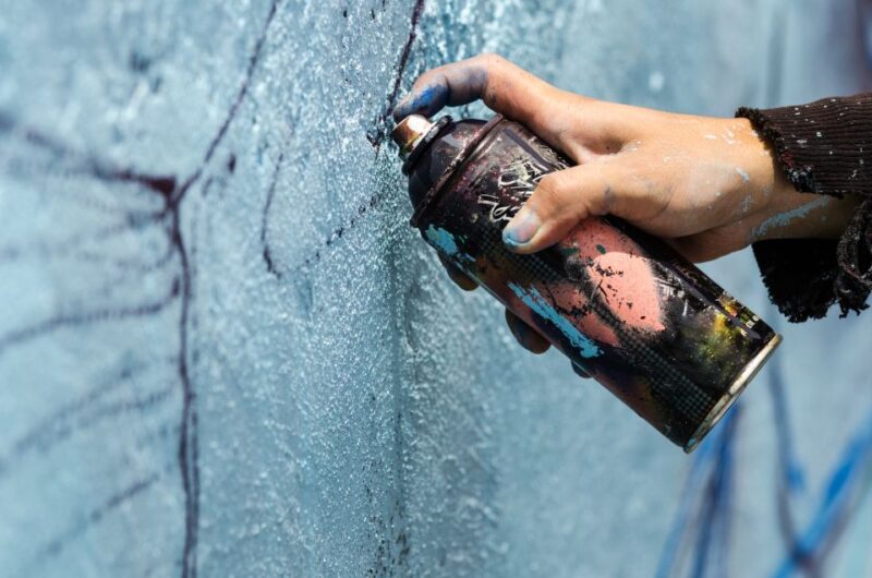 Chicago: Offbeat Guided Street Art Tour - Tour Inclusions
