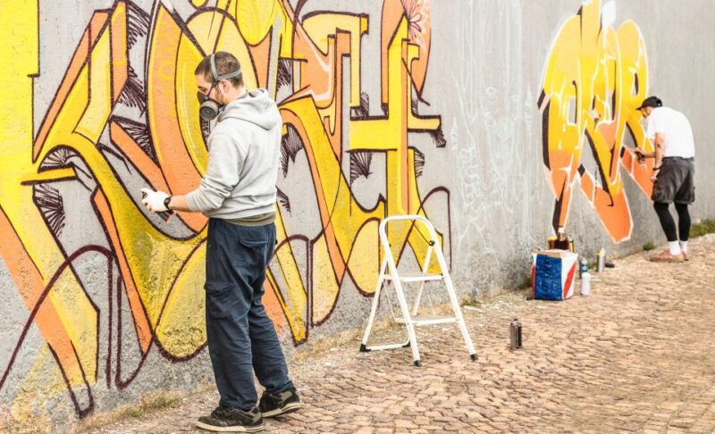 Chicago: Offbeat Guided Street Art Tour - Neighborhood Exploration