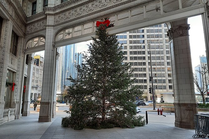 Chicago Seasonal Stroll Walking Tour of Holiday Attractions - Accessibility and Additional Information