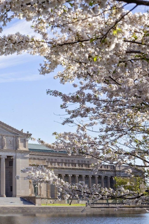 Chicago'S Artsy Cultural Landmarks – Walking Tour - Itinerary Highlights