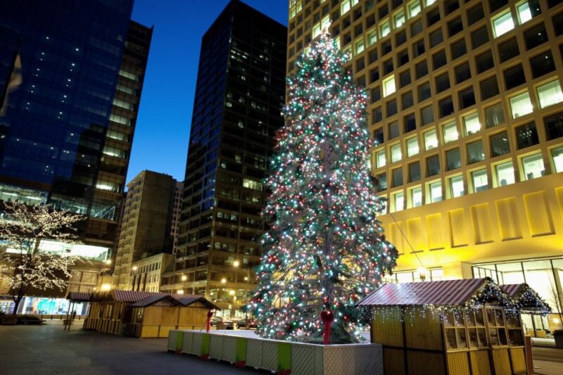 Chicago's Festive Lights: A Magical Christmas Journey - Experience Description